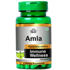 Cipzer Amla Immune Wellness Capsules | Grocsy