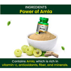 Cipzer Amla Immune Wellness Capsules | Grocsy