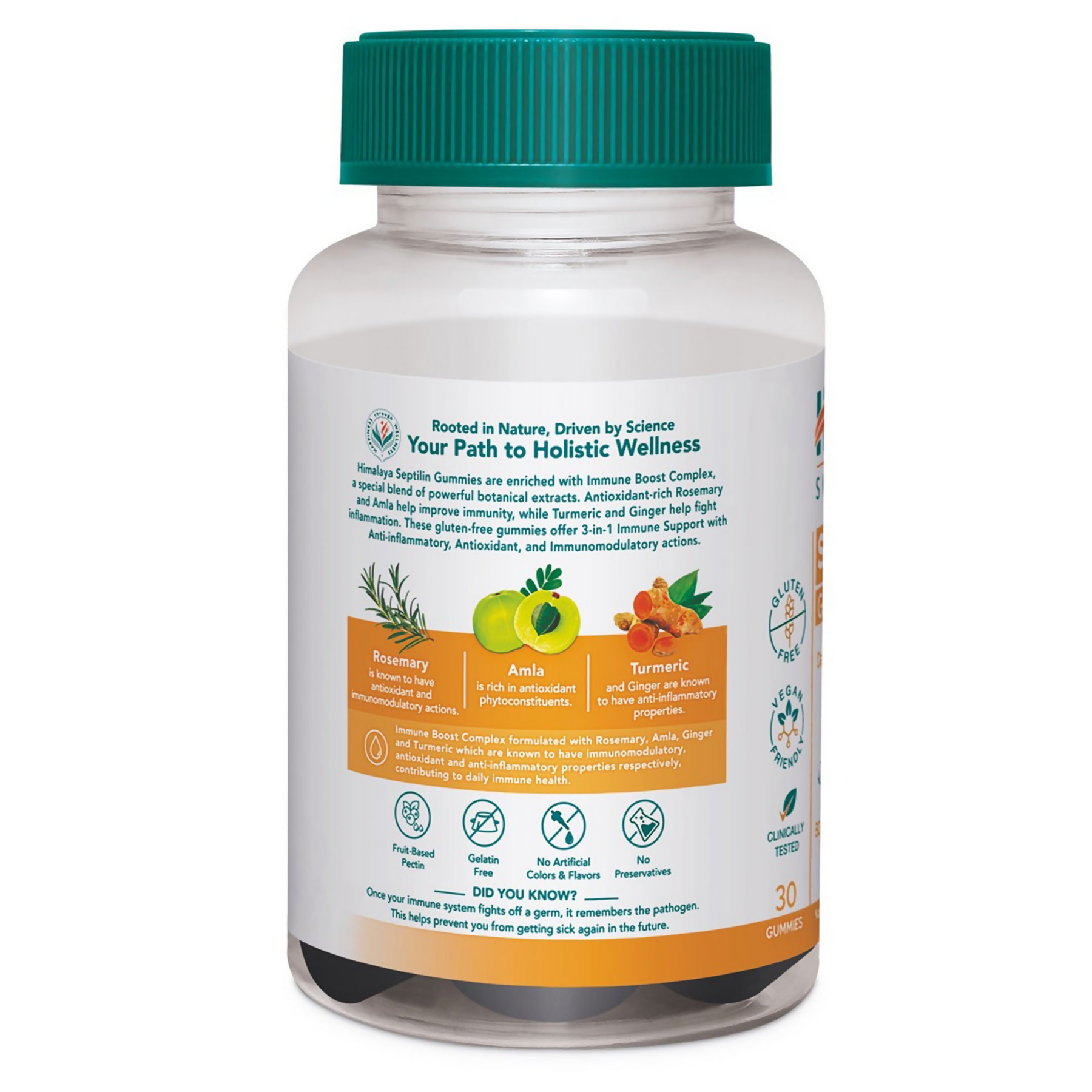 Himalaya Herbals Septilin Gummies For Daily Immune Support | Grocsy