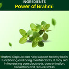 Cipzer Brahmi Capsules | Grocsy