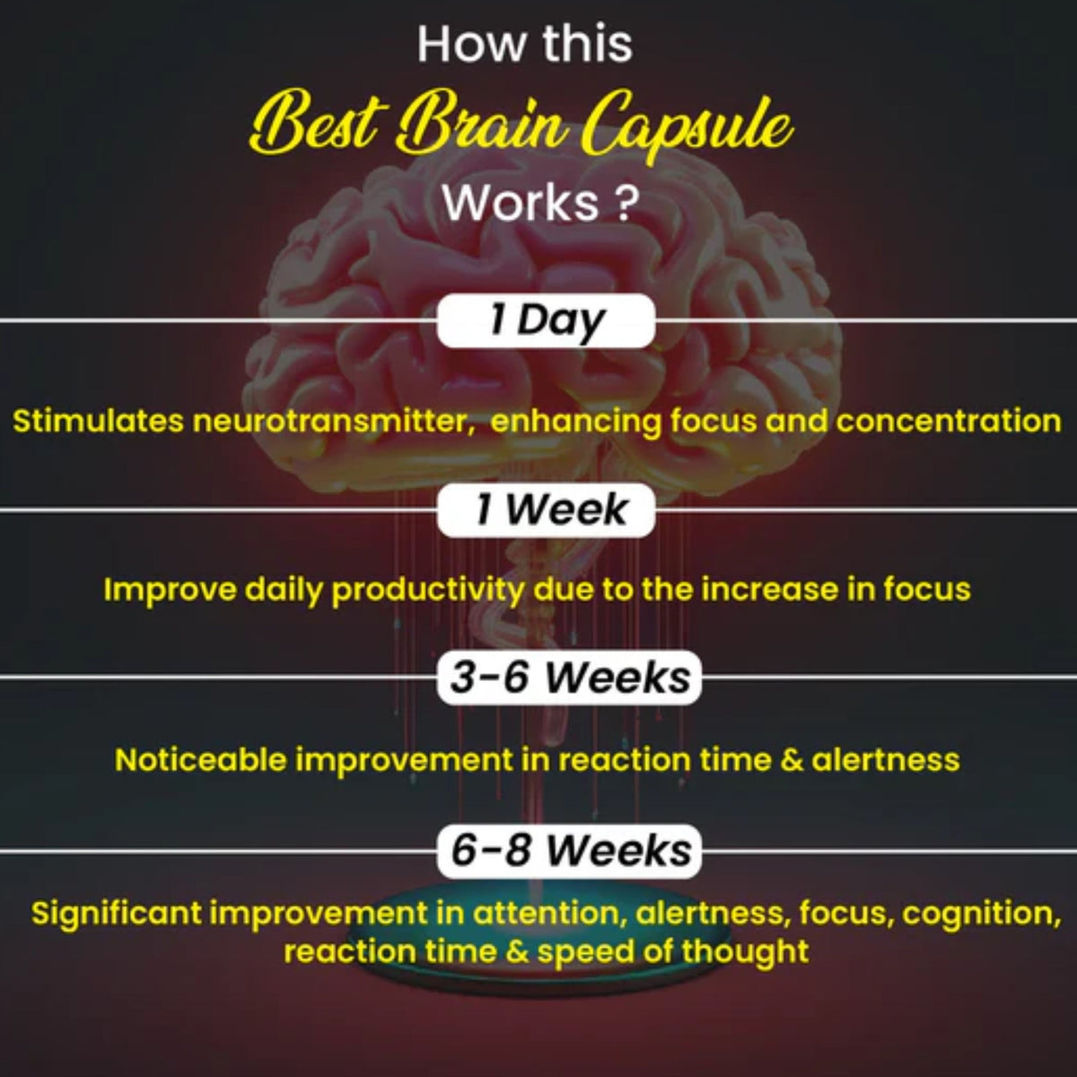 Cipzer Best Brain Capsules | Grocsy