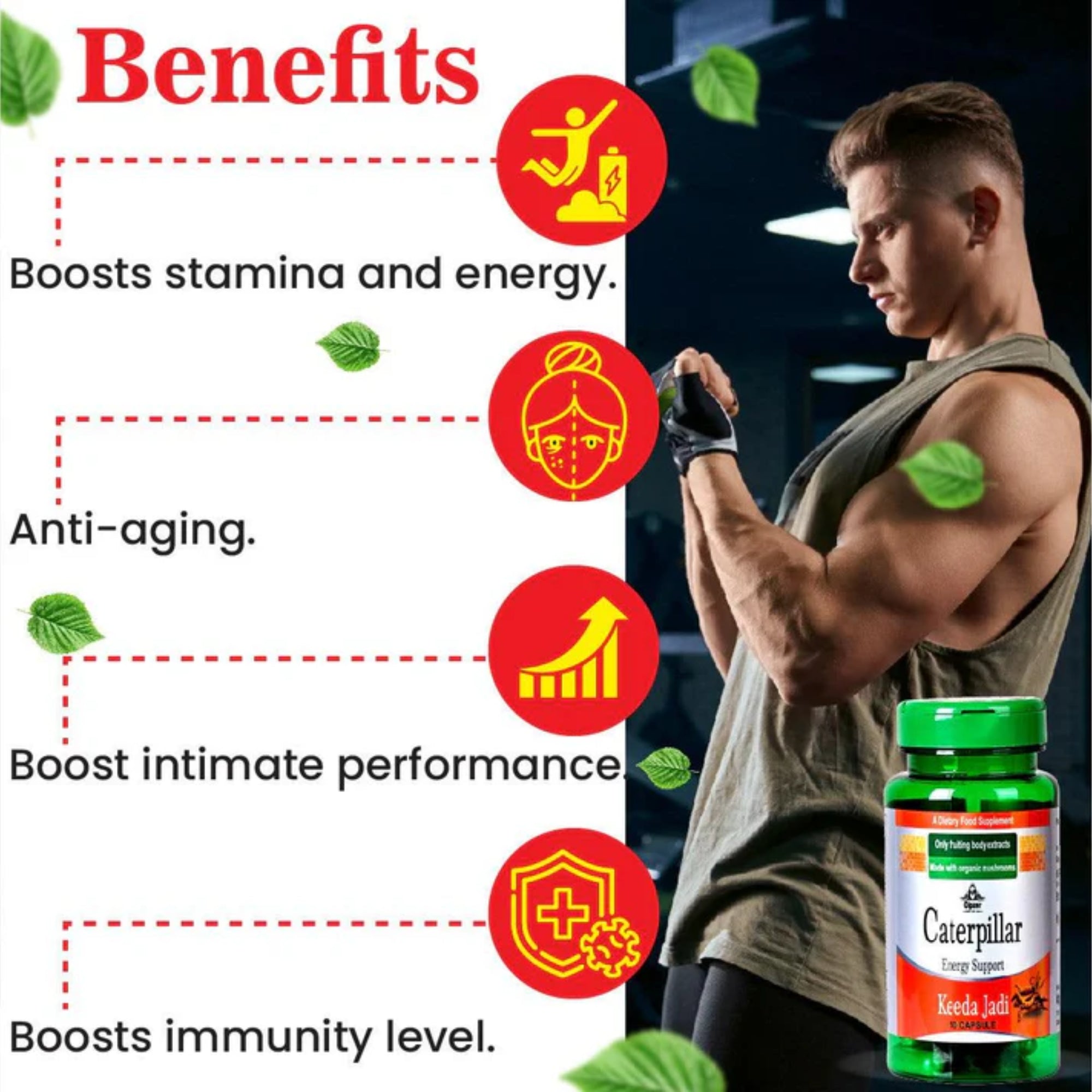 Cipzer Caterpillar Keeda Jadi Capsules | Grocsy
