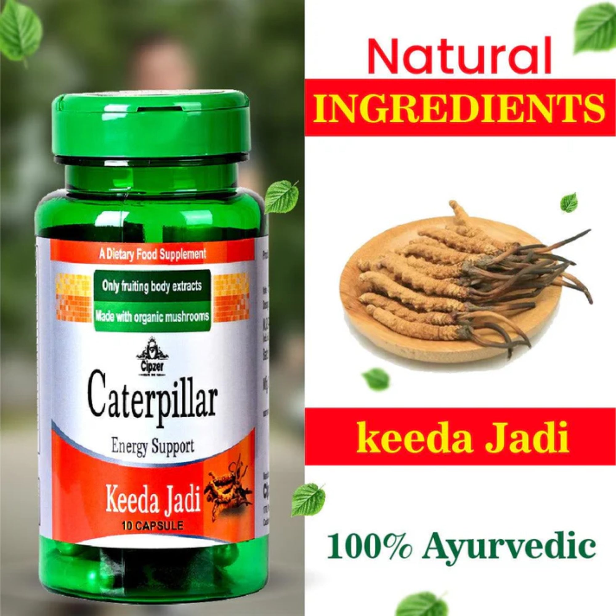 Cipzer Caterpillar Keeda Jadi Capsules | Grocsy
