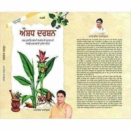 Patanjali Aushadh Darshan - ( Punjabi Edition) Baba Ramdev | Grocsy