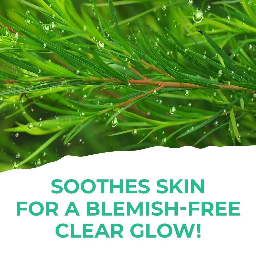 St. Ives Clear Glow Tea Tree Micellar Water | Grocsy