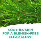St. Ives Clear Glow Tea Tree Micellar Water | Grocsy