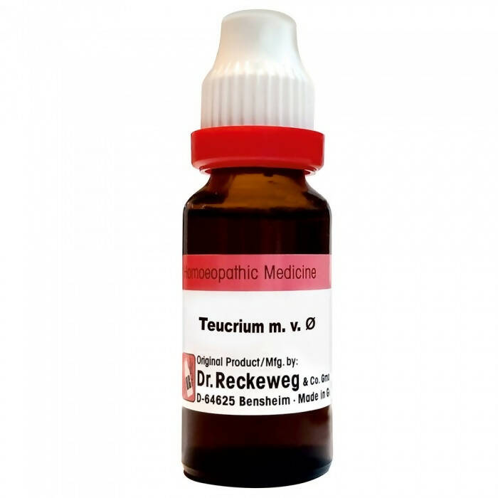 Dr. Reckeweg Teucrium Mar Mother Tincture Q | Grocsy