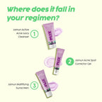 PLIX The Plant Fix Jamun Acne Spot Corrector Gel For Reducing Active Acne | Grocsy