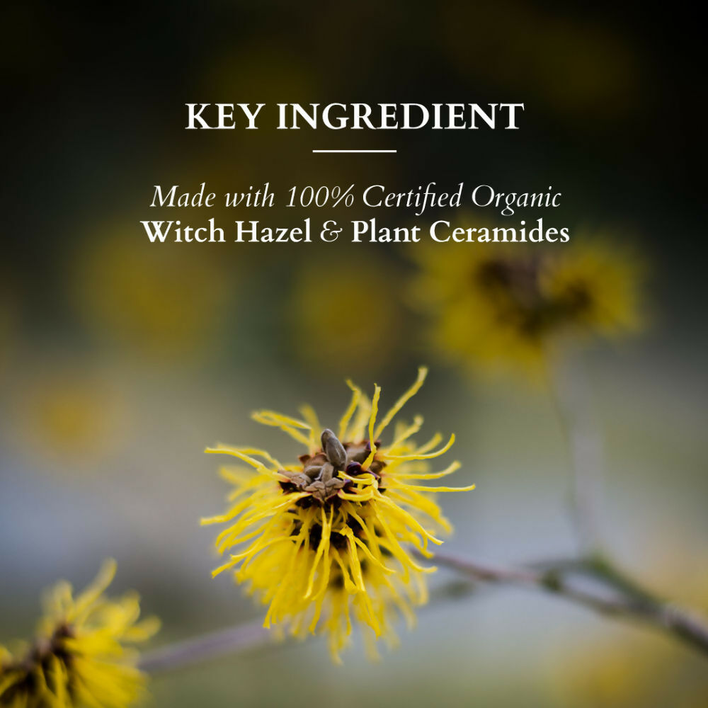 Lotus Organics Witch Hazel & Plant Ceramide Sensitive Skin Gentle Face Wash | Grocsy