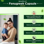 Cipzer Fenugreek Capsules | Grocsy