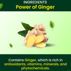 Cipzer Ginger Capsules | Grocsy