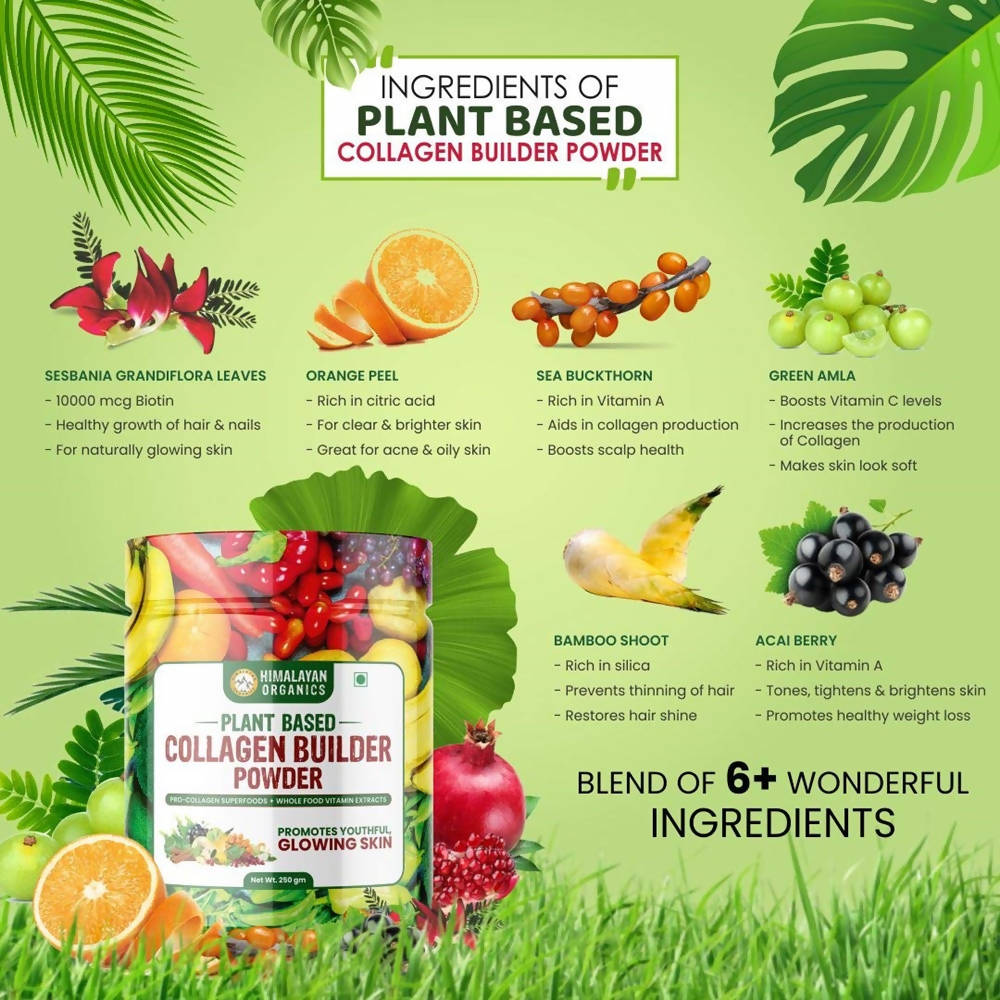 Himalayan Organics Plant Based Collagen Builder Powder | Grocsy