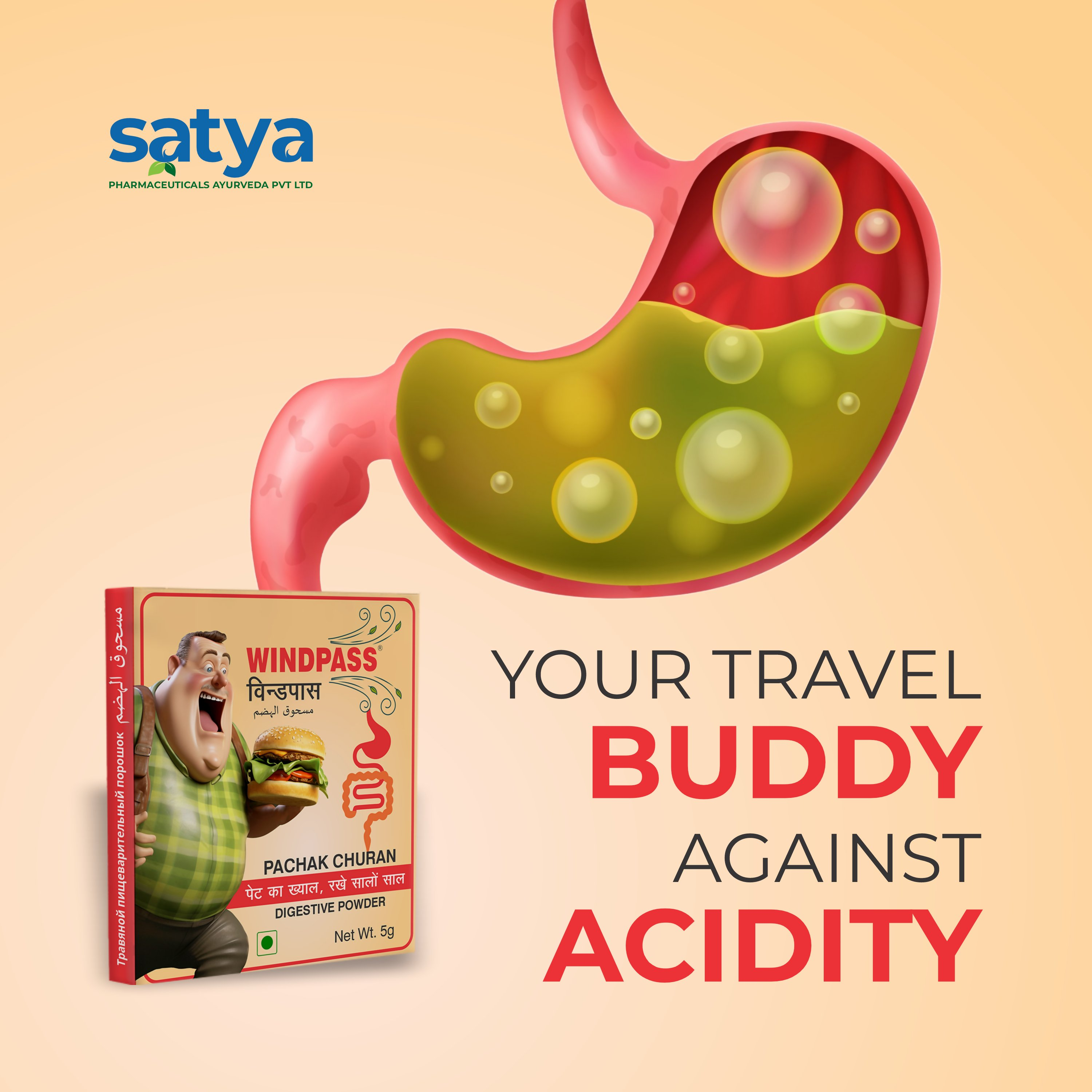 Satya Pharmaceuticals Ayurveda Windpass Pachak Churan Sachet | Grocsy