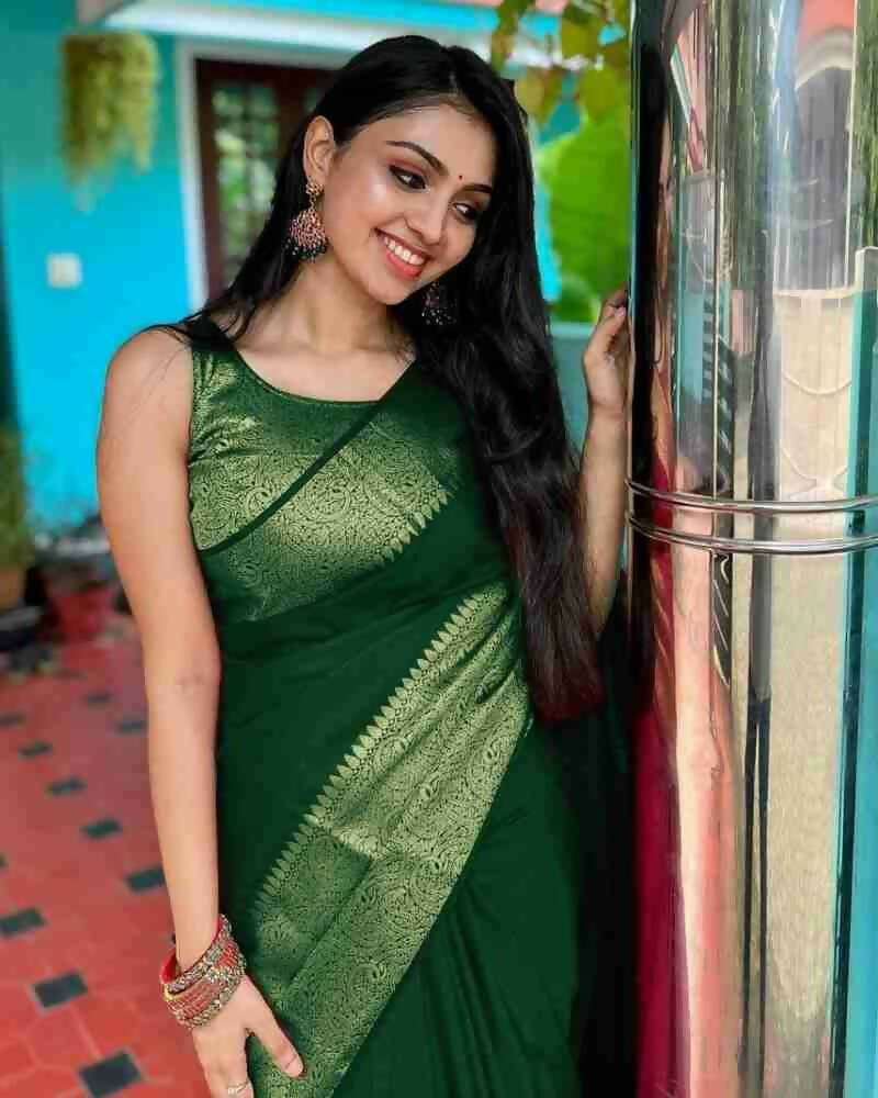 DEIANA'S Beautiful Designer Golden zari Soft Lichi Silk Saree - P Green | Grocsy