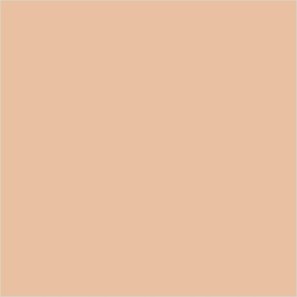 Colorbar 24Hrs Wear Weightless Powder Foundation Pf 7 | Grocsy