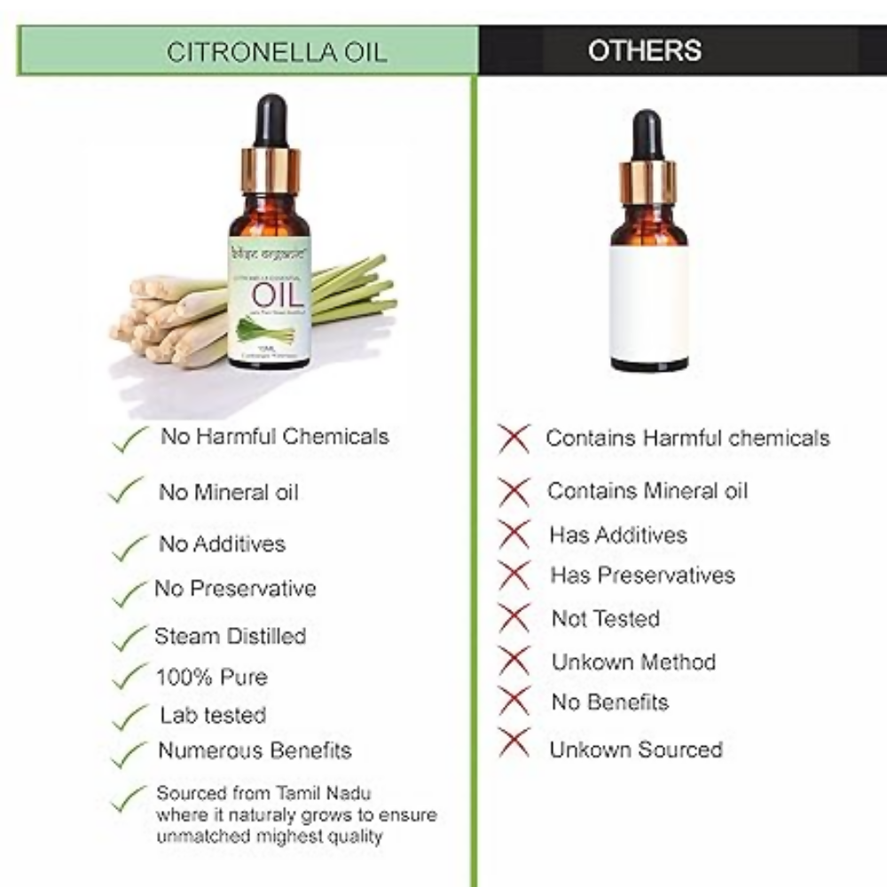 Blise organic Citronella Essential Oil | Grocsy
