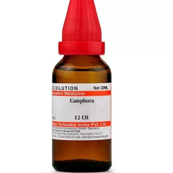 Dr. Willmar Schwabe India Camphora Dilution | Grocsy