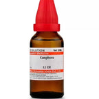 Dr. Willmar Schwabe India Camphora Dilution | Grocsy