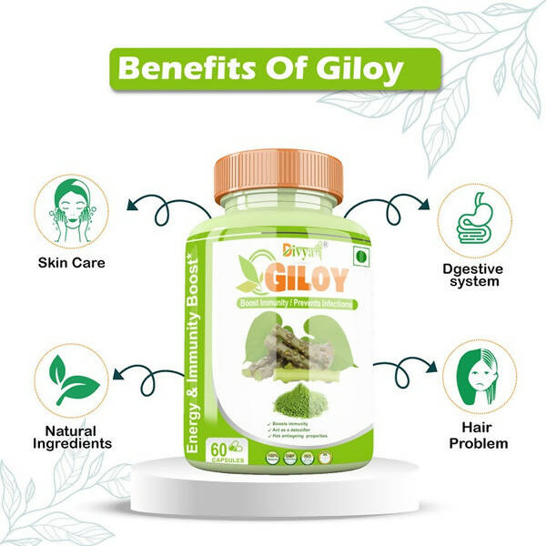 Divya Shree Giloy Capsules | Grocsy