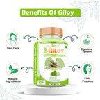Divya Shree Giloy Capsules | Grocsy