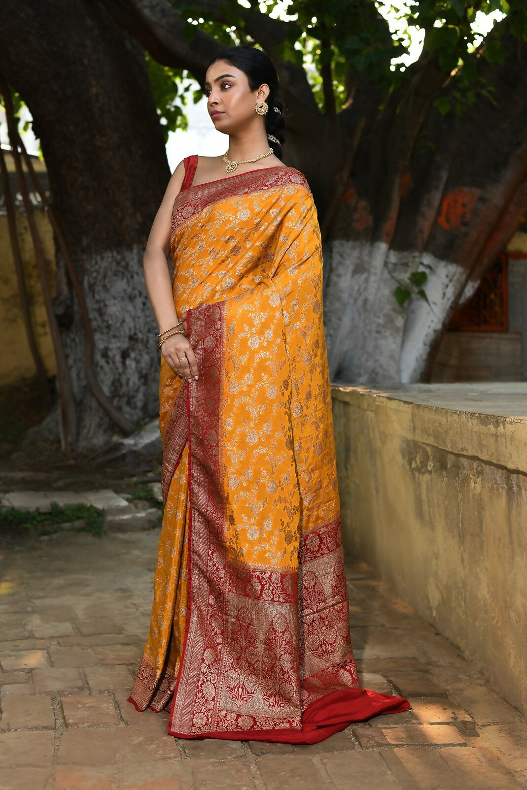 Joban Fashion Gold Crepe Chiffon Pure Handloom Banarasi Silk Saree | Grocsy