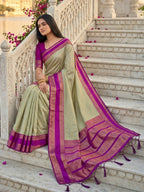 Shree Shyam Fashion Chiku Silk Blend Saree | Grocsy