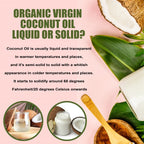 Shuddh Natural Coconut Oil Cold Pressed | Grocsy