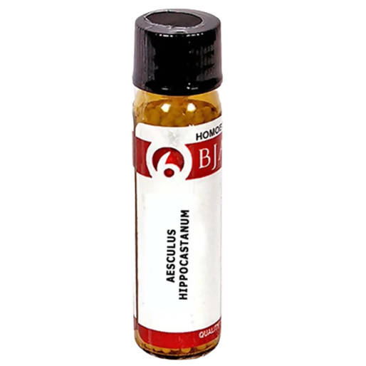 Bjain Homeopathy Aesculus Hippocastanum Globules | Grocsy