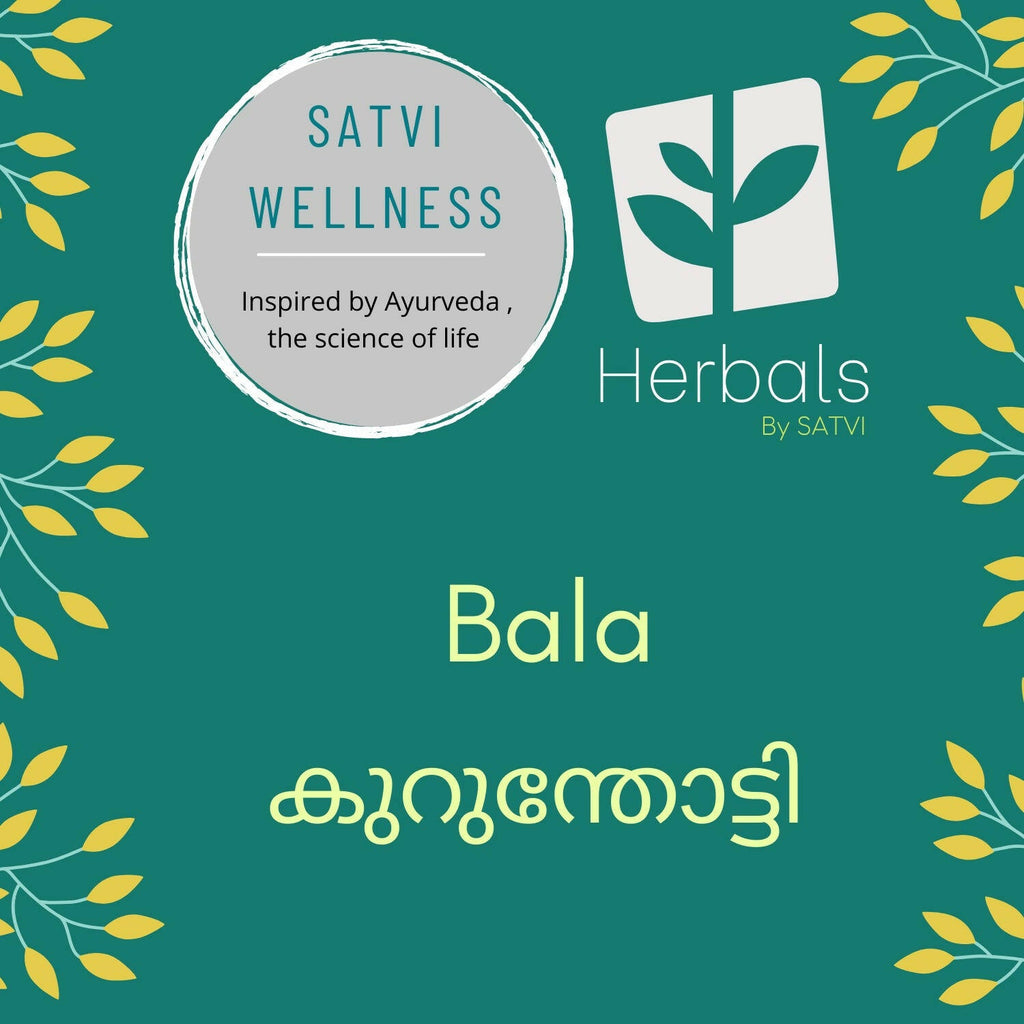 Satvi Wellness Dry Bala / Kurunthoti Chopped | Grocsy