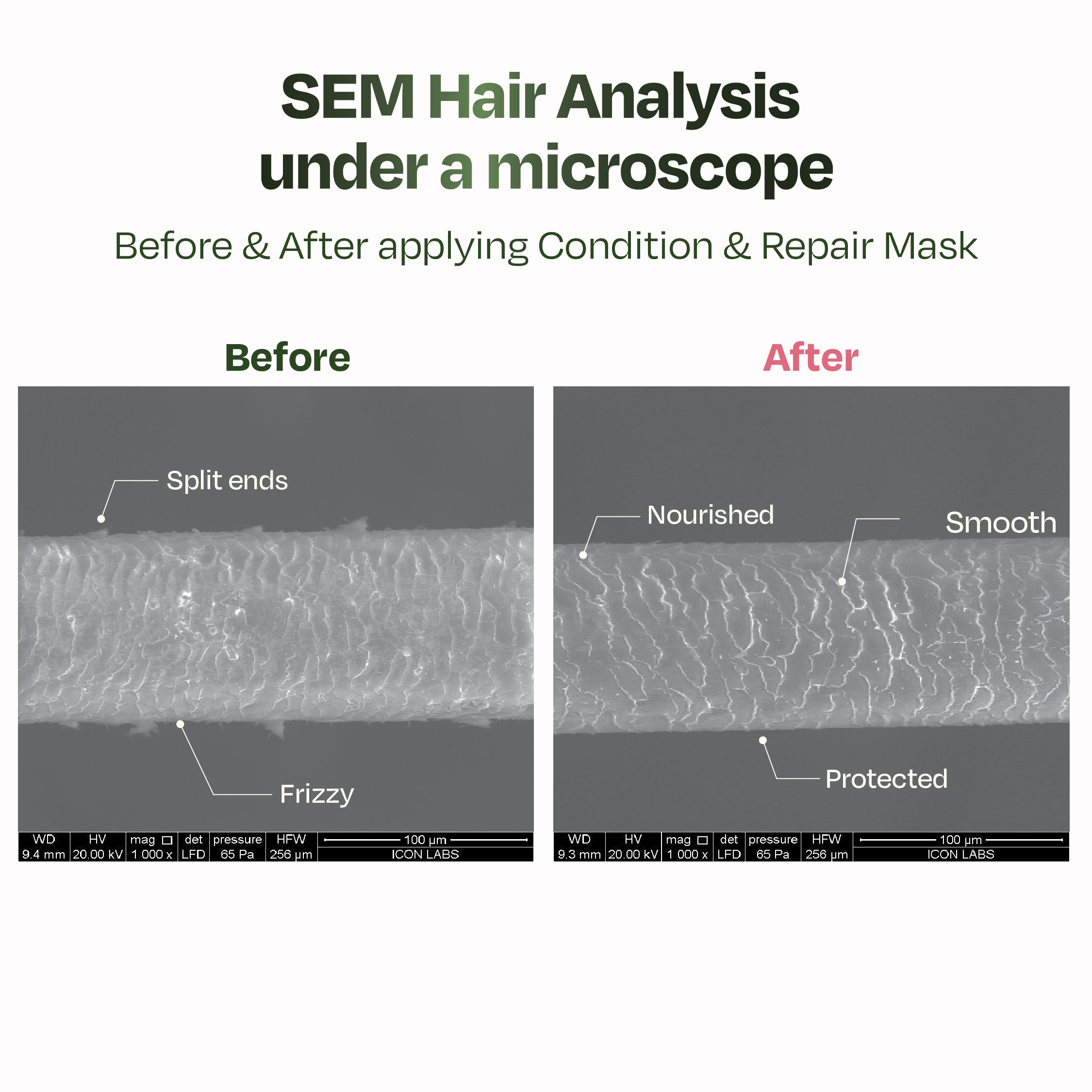 Sacred Grove Marshmallow Root Condition & Repair Hair Mask | Grocsy
