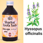 Cipzer Sharbat Zoofa Sada | Grocsy