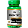 Cipzer Shatavari Capsules | Grocsy