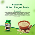 Cipzer Shatavari Capsules | Grocsy
