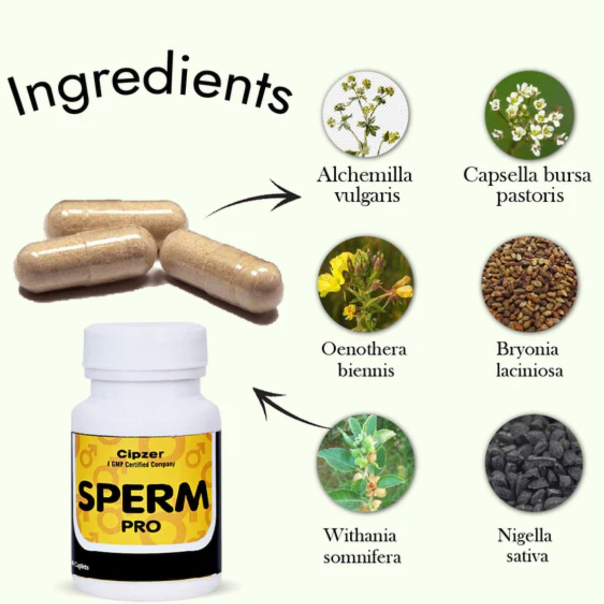 Cipzer Sperm Pro Caplets | Grocsy