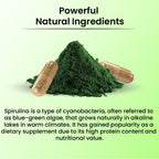 Cipzer Spirulina Capsules | Grocsy