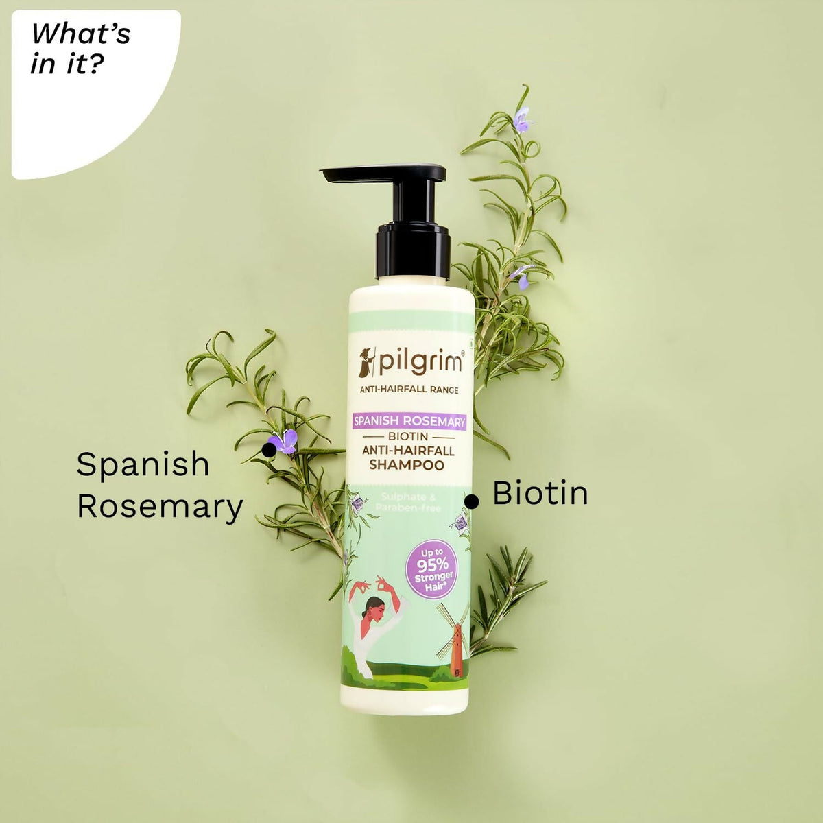 Pilgrim Spanish Rosemary & Biotin Anti Hairfall Shampoo For Reducing Hair Loss & Breakage | Grocsy