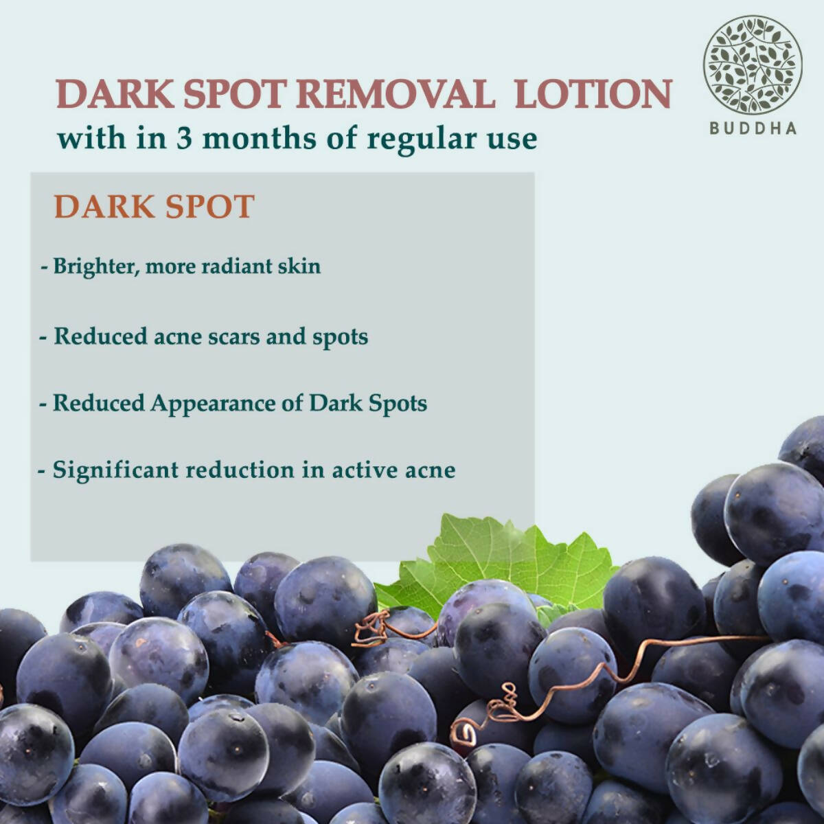 Buddha Natural Dark Spot Removal Body Lotion - Helps With Brighten & Even skin Tone | Grocsy