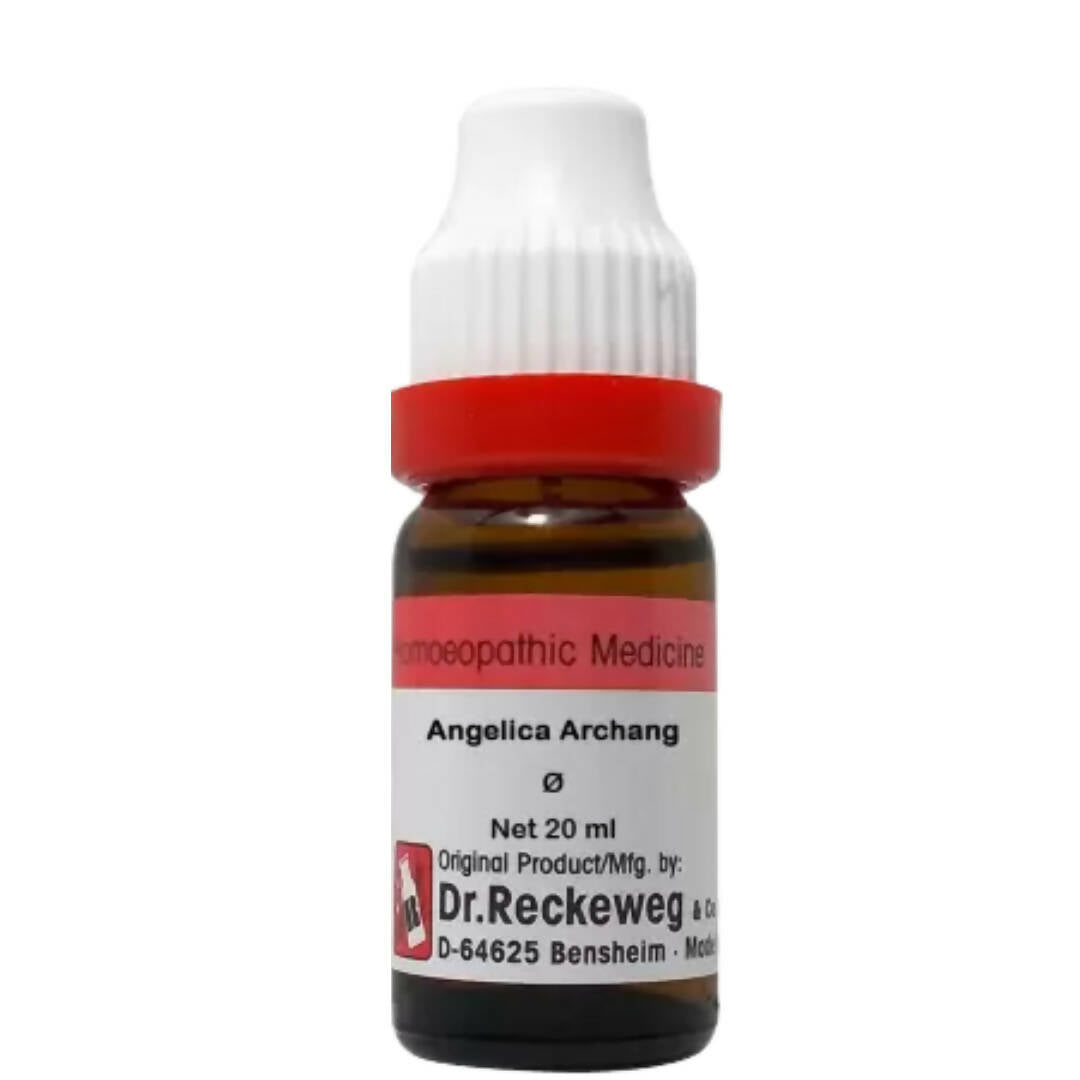 Dr. Reckeweg Angelica Archang Mother Tincture Q | Grocsy