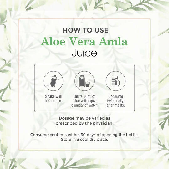 Four Seasons Aloevera Amla Juice | Grocsy