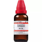 Dr. Willmar Schwabe India Eupatorium Perfoliatum Dilution | Grocsy