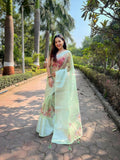 Vamsee Mehar Pista Green Organza Saree | Grocsy