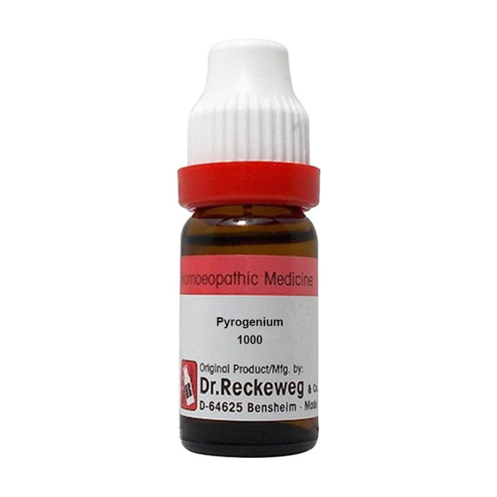 Dr. Reckeweg Pyrogenium Dilution | Grocsy