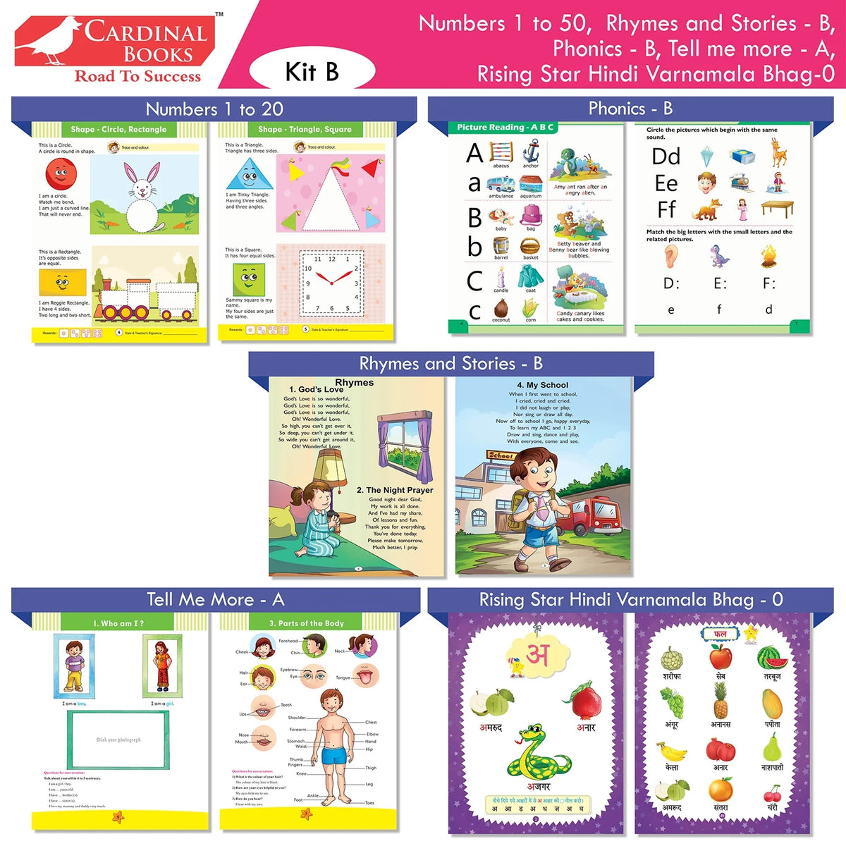 Cardinal Books Preschool Learning Junior KG (LKG) Kit C Set of 16| Ages 4-5 Years| Alphabet| Number| Rhymes and Stories| Phonic| Hindi Varnmala | Grocsy