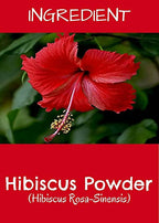 MR Ayurveda Hibiscus Powder | Grocsy