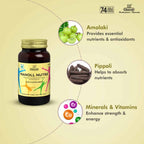 Charak Pharma Manoll Nutra Syrup | Grocsy