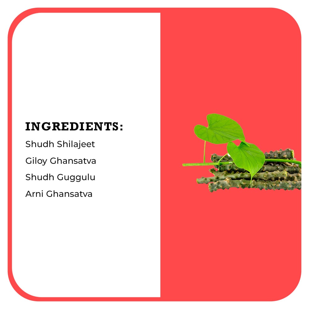 Desh Rakshak Cholesteronil | Grocsy