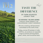Luxmi Estates Orange Spice Black Tea | Grocsy