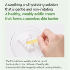 Dewytree Heartleaf 100 Korean Serum | Grocsy