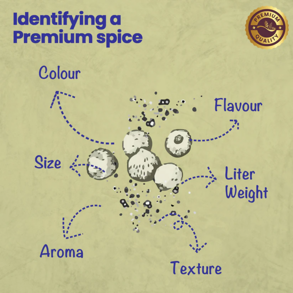 Crista Spices White Pepper Powder | Grocsy