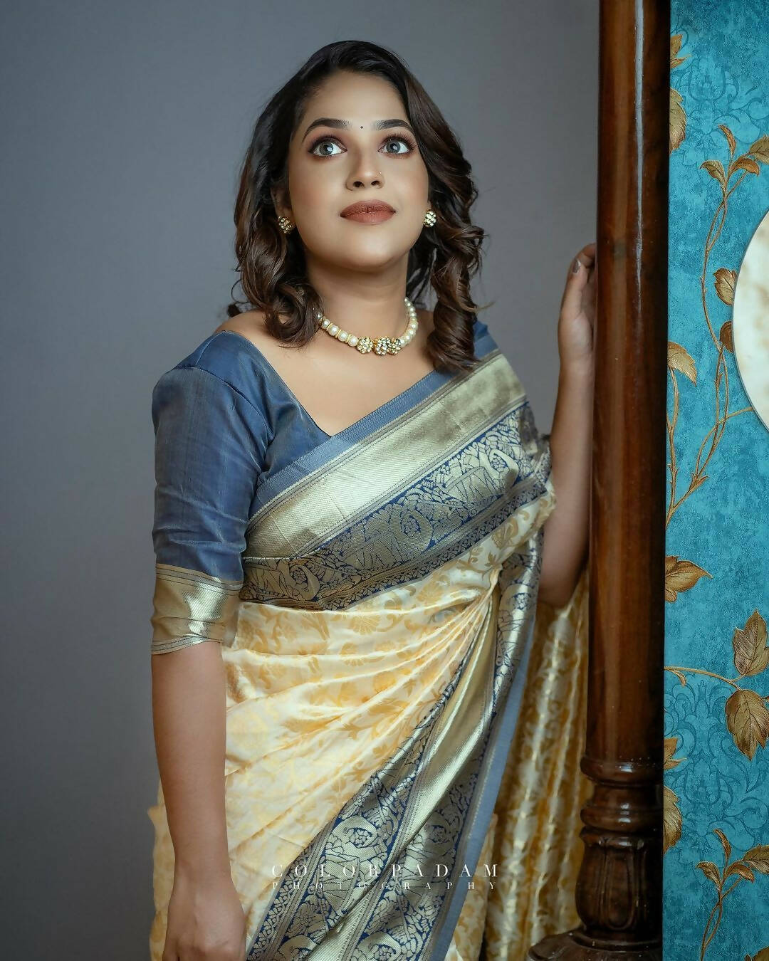 DEIANA'S Beautiful Designer Golden zari Soft Lichi Silk Saree - White | Grocsy